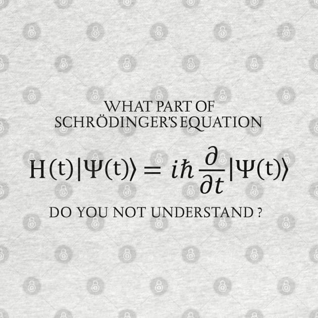 the Schrödinger Equation by ScienceCorner